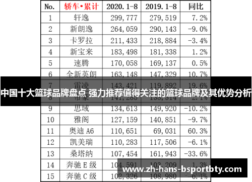 中国十大篮球品牌盘点 强力推荐值得关注的篮球品牌及其优势分析