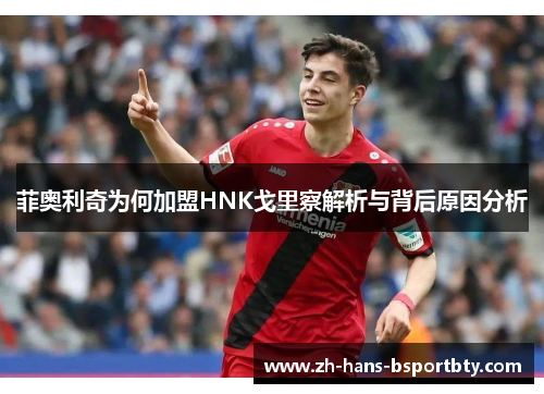 菲奥利奇为何加盟HNK戈里察解析与背后原因分析