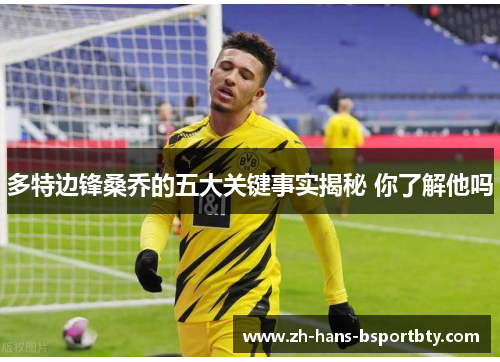 多特边锋桑乔的五大关键事实揭秘 你了解他吗
