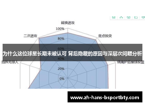 为什么这位球星长期未被认可 背后隐藏的原因与深层次问题分析