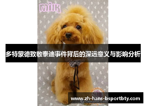 多特蒙德致敬泰迪事件背后的深远意义与影响分析