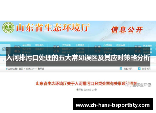 入河排污口处理的五大常见误区及其应对策略分析