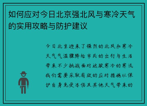 如何应对今日北京强北风与寒冷天气的实用攻略与防护建议