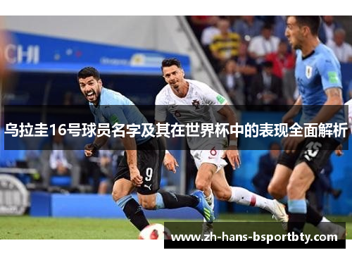 乌拉圭16号球员名字及其在世界杯中的表现全面解析