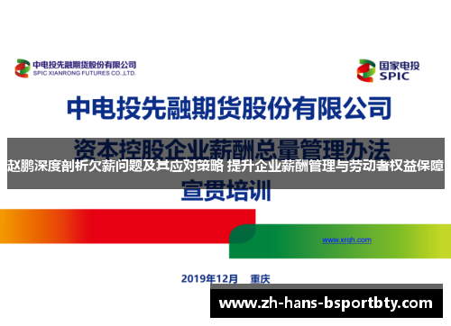 赵鹏深度剖析欠薪问题及其应对策略 提升企业薪酬管理与劳动者权益保障